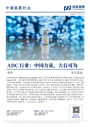 ADC行业:中国力量,大有可为