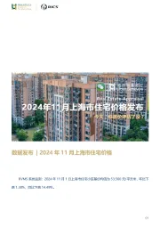 房地产数据发布：2024年11月上海市住宅价格