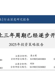 新能源汽车行业2025年投资策略报告:向上三年周期已经逐步开启