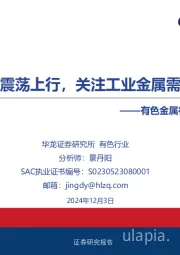 有色金属行业2025年度投资策略报告：黄金或震荡上行，关注工业金属需求回暖