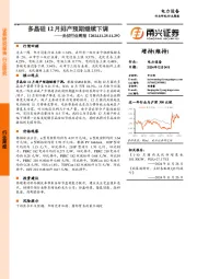 光伏行业周报：多晶硅12月排产预期继续下调