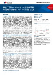 氟化工行业：2024年11月月度观察：年末空调排产双位数增长，R125、R134a价格进一步上涨