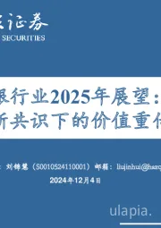 银行业2025年展望：新共识下的价值重估