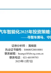 汽车智能化2025年投资策略:寻整车黑马,守部件龙头