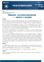 新能源汽车25年投资策略:周期触底反转,龙头公司和技术变革将是主基调