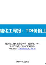 基础化工行业周报：TDI价格上涨