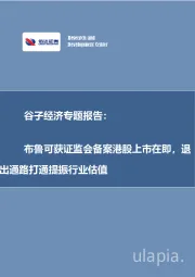谷子经济专题报告:布鲁可获证监会备案港股上市在即,退出通路打通提振行业估值