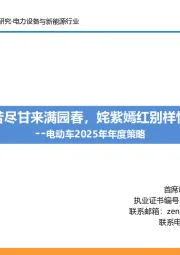 电动车2025年年度策略：苦尽甘来满园春，姹紫嫣红别样情