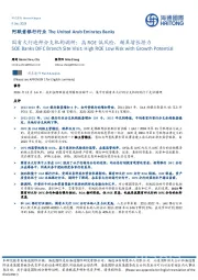 阿联酋银行行业：国有大行迪拜分支机构调研：高ROE低风险，颇具增长潜力