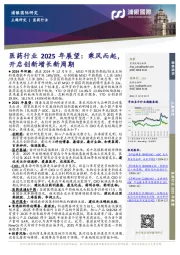 医药行业2025年展望：乘风而起，开启创新增长新周期