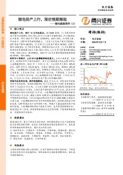 锂电跟踪系列（1）：锂电排产上行，涨价预期渐起