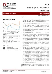 锂电池行业月报:销量持续高增长,板块持续关注