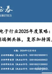 电子行业2025年度策略:AI云侧端侧共振,复苏加持国产替代