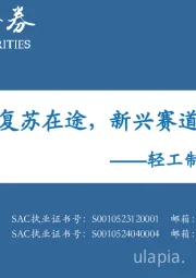 轻工制造2025年度策略：传统消费复苏在途，新兴赛道空间可期