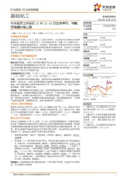 基础化工行业研究周报:中央经济工作会议12月11-12日在京举行,甲醇、丙烯酸价格上涨