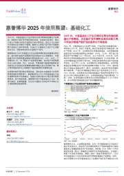 惠誉博华2025年信用展望：基础化工