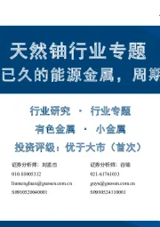 天然铀行业专题：沉寂已久的能源金属，周期来临