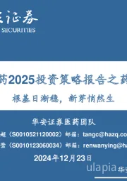 华安医药2025投资策略报告之药品行业：根基日渐稳，新芽悄然生