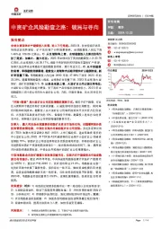 有色金属行业专题：中资矿企风险勘查之路：破局与寻向