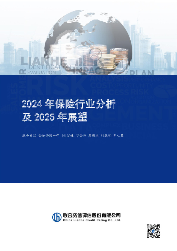 2024年保险行业分析及2025年展望