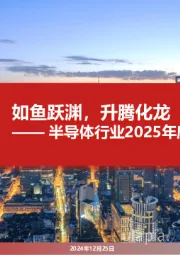 半导体行业2025年度投资策略：如鱼跃渊，升腾化龙