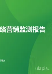 汽车行业网络营销监测报告