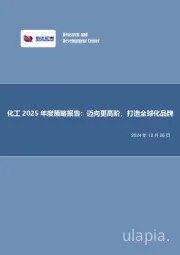 化工2025年度策略报告：迈向更高阶，打造全球化品牌