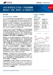 2025年石化化工行业1月投资策略:看好油气、钾肥、制冷剂、SAF的投资方向