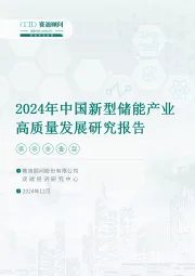 2024年中国新型储能产业高质量发展研究报告