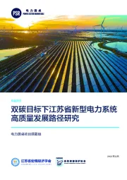 双碳目标下江苏省新型电力系统高质量发展路径研究