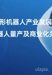 2025年人形机器人产业发展蓝皮书：人形机器人量产及商业化关键挑战