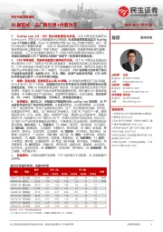 电子行业深度报告:AI新范式:云厂商引领+内需为王