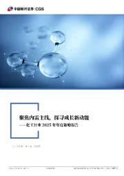 化工行业2025年年度策略报告：聚焦内需主线、探寻成长新动能
