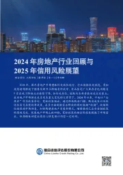 2024年房地产行业回顾与2025年信用风险展望