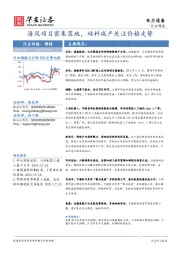 电力设备行业周报：海风项目密集落地，硅料减产关注价格走势