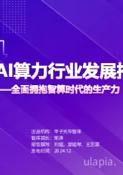 中国AI算力行业发展报告：全面拥抱智算时代的生产力