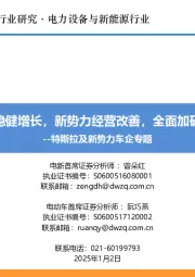 特斯拉及新势力车企专题：特斯拉稳健增长，新势力经营改善，全面加码智能化