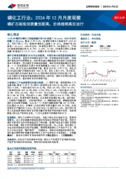 磷化工行业：2024年12月月度观察-磷矿石表观消费量创新高，价格继续高位运行