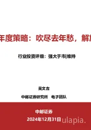 电子：2025年年度策略：吹尽去年愁，解放丁香结