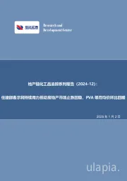 地产链化工品追踪系列报告(2024-12):住建部表示将持续用力推动房地产市场止跌回稳,PVA等月均价环比回暖
