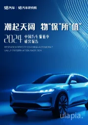 2024中国汽车保值率研究报告：潮起天阔 物“保”所“值”