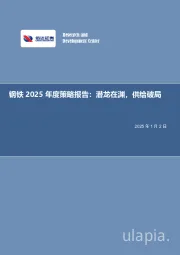 钢铁2025年度策略报告：潜龙在渊，供给破局