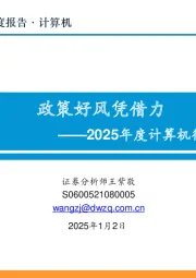 2025年度计算机行业投资策略：政策好风凭借力