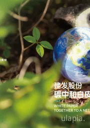 碳中和白皮书