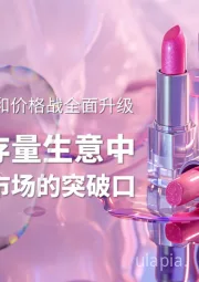 美妆大促节奏和价格战全面升级：如何在存量生意中寻求细分市场的突破口