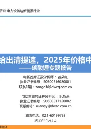 碳酸锂专题报告：资源端供给出清提速，2025年价格中枢将抬升