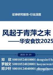 华安食饮2025年度策略：风起于青萍之末