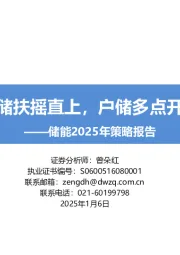 储能2025年策略报告:大储扶摇直上,户储多点开花
