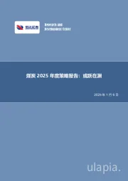 煤炭2025年度策略报告：或跃在渊