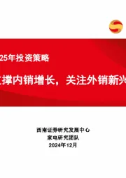 家电行业2025年投资策略：政策支撑内销增长，关注外销新兴市场